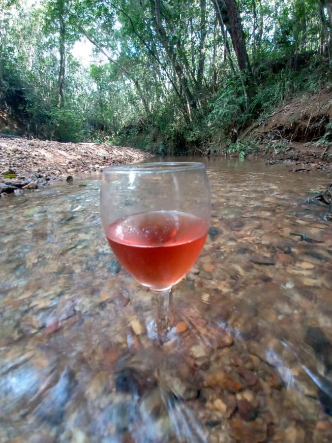 Chale Aconchegante, Pertinho Da Cidade E Conectada A Natureza Brasília Ngoại thất bức ảnh
